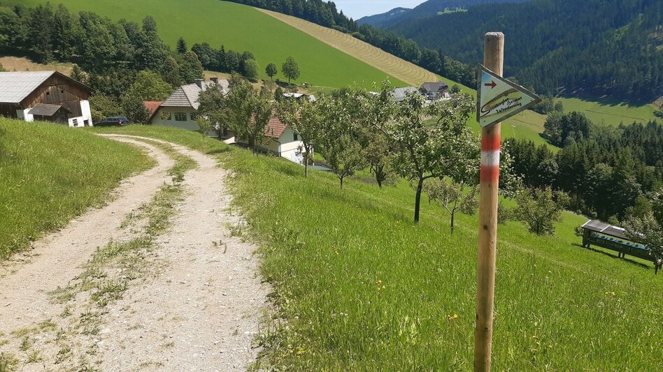 Hiking route Pullerrieglrunde Gasen - Touren-Impression #2.5 | © Oststeiermark Tourismus