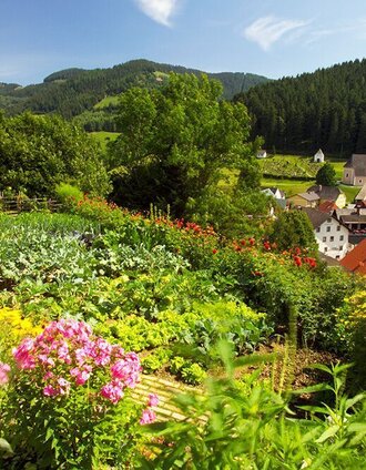 Aussicht auf Gasen | Bernhard Bergmann | © Oststeiermark Tourismus