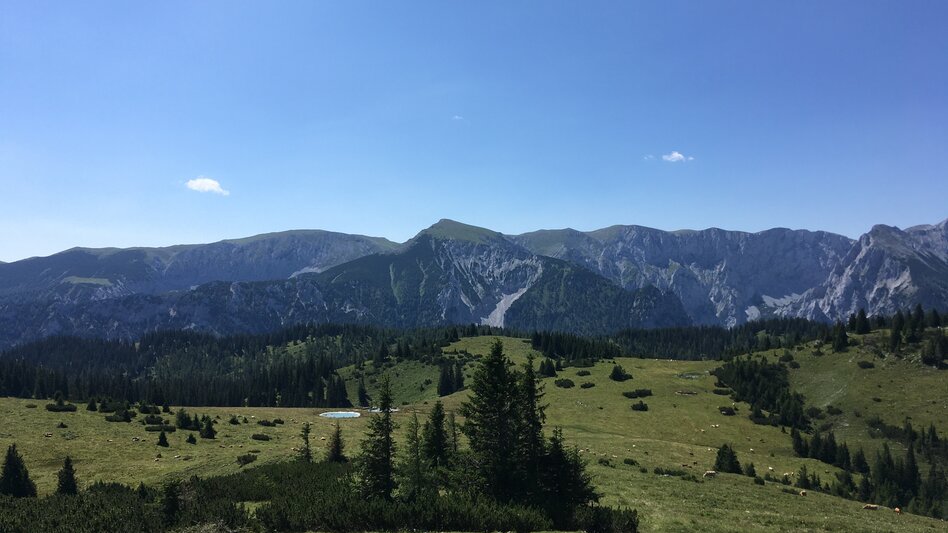 Hiking route Zeller Staritzen and Zinken from Kastenriegel - Touren-Impression #2.4 | © TV Hochsteiermark