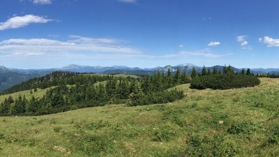 Hiking route Zeller Staritzen and Zinken from Kastenriegel - Touren-Impression #2.5 | © TV Hochsteiermark