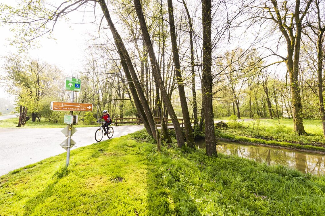 Bike Riding AnRADeln - Genuss-Tour - Touren-Impression #1 | © Thermen- & Vulkanland