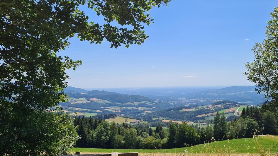 Hiking route Pöllau circuit via Gschaid and Schloffereck, Pöllau - Touren-Impression #2.4 | © Oststeiermark Tourismus