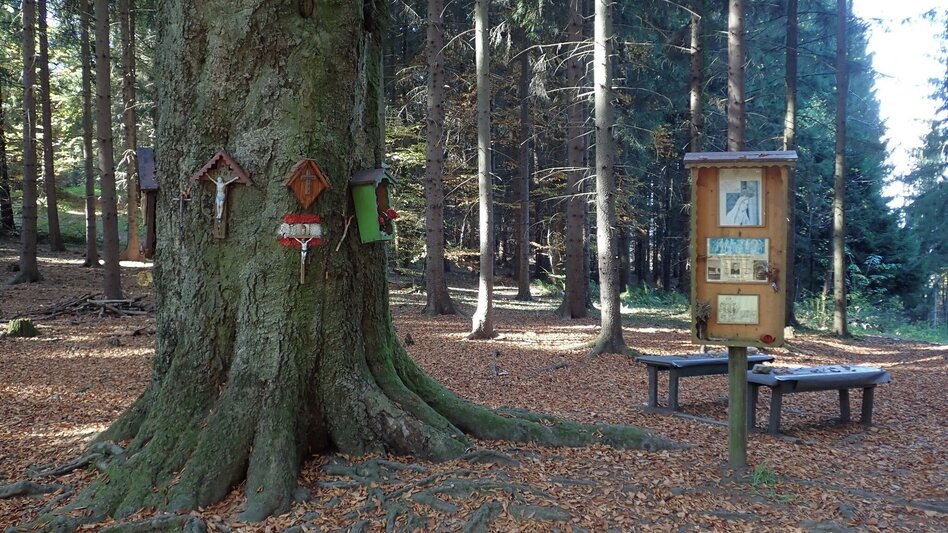 Hiking route Straßengler Frauenkogelrunde - Touren-Impression #2.3 | © Region Graz
