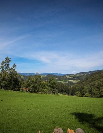 rund um die rannach nach kleinstübing_img_61681308 | Gasser & Gasser | © Region Graz