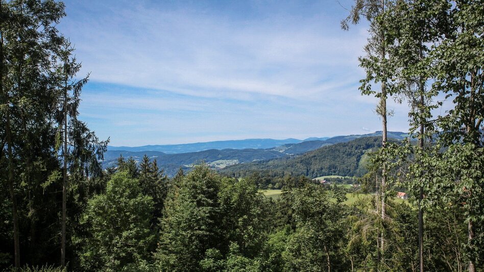 Wanderung Rund um die Rannach nach Kleinstübing - Touren-Impression #2.2 | © Region Graz