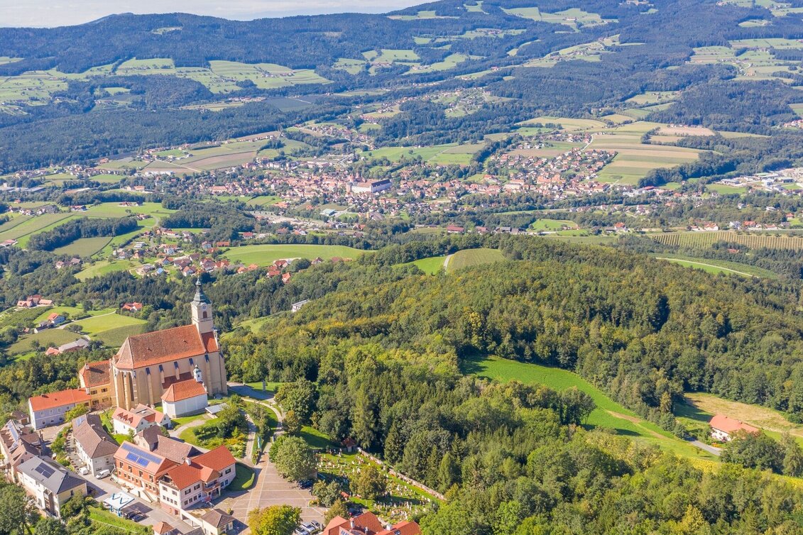 Radfahren Rundtour  Ringwarte, Pöllauberg - Touren-Impression #1 | © Oststeiermark Tourismus