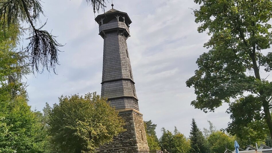 Radfahren Rundtour  Ringwarte, Pöllauberg - Touren-Impression #2.9 | © Oststeiermark Tourismus