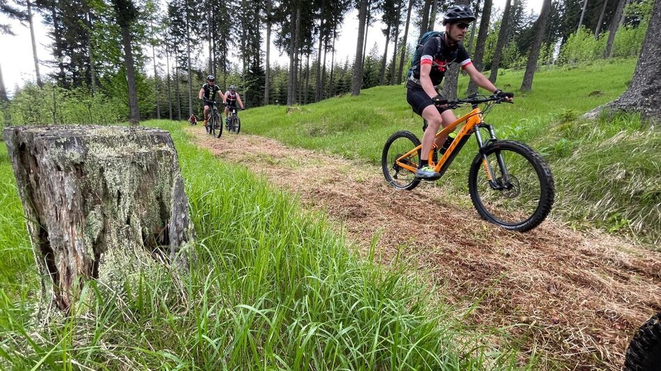 Mountain Biking Brendlalm-Tour (Wies) - Touren-Impression #2.2 | © Südsteiermark