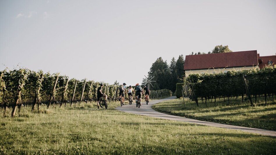 Mountain Biking Radelikat (Wies) - Biking with Pleasure in Schilcherland - Touren-Impression #2.7 | © Schilcherland Steiermark