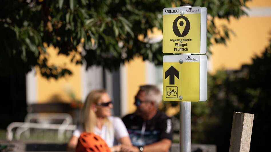 Mountain Biking Radelikat (Wies) - Biking with Pleasure in Schilcherland - Touren-Impression #2.11 | © Schilcherland Steiermark