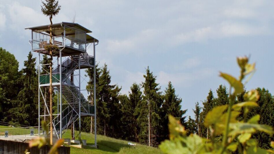 Mountain Biking Radelikat (Wies) - Biking with Pleasure in Schilcherland - Touren-Impression #2.18 | © Südsteiermark