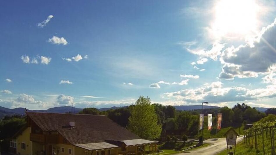Mountain Biking Radelikat (Wies) - Biking with Pleasure in Schilcherland - Touren-Impression #2.19 | © Südsteiermark