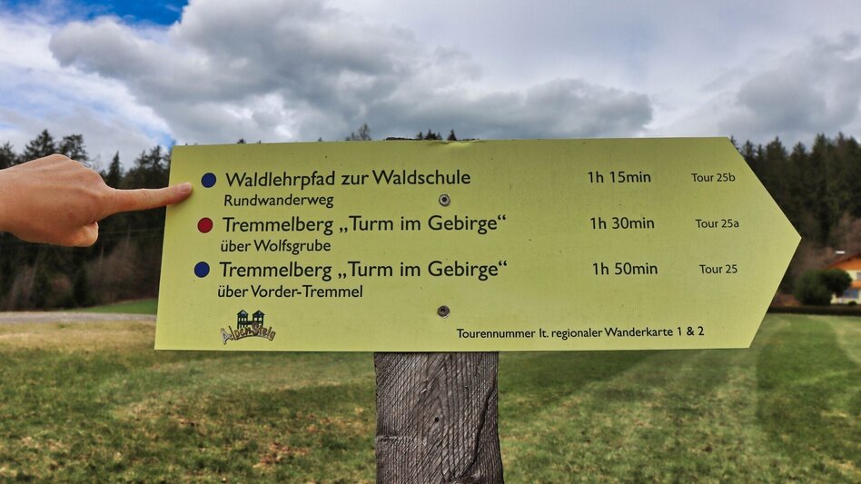 Theme path Education trail to the forest school - Touren-Impression #2.1 | © Weges OG