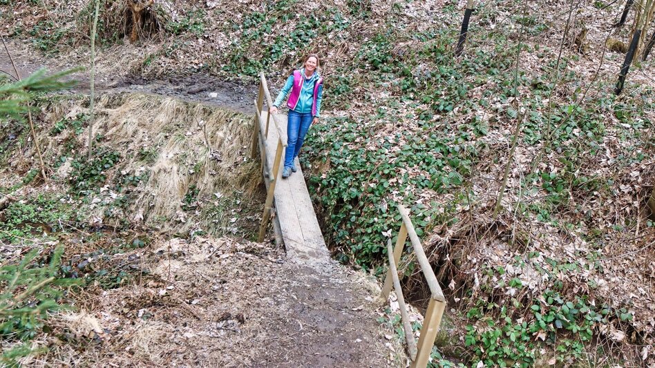 Theme path Education trail to the forest school - Touren-Impression #2.2 | © Weges OG