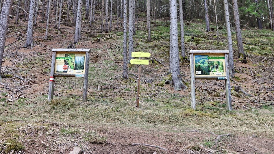 Theme path Education trail to the forest school - Touren-Impression #2.3 | © Weges OG