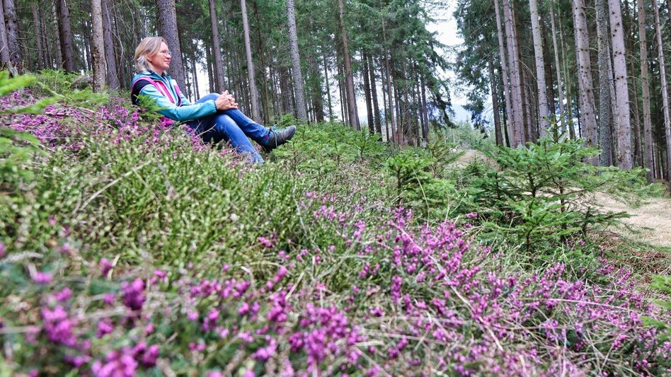 Theme path Education trail to the forest school - Touren-Impression #2.4 | © Weges OG