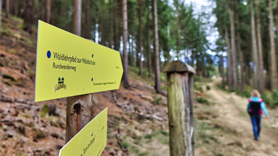Theme path Education trail to the forest school - Touren-Impression #2.5 | © Weges OG