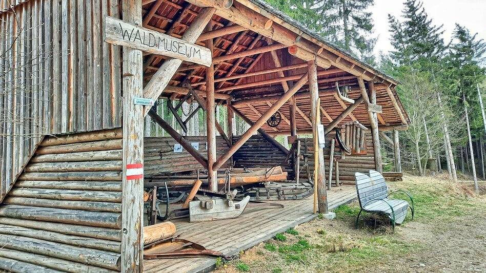 Theme path Education trail to the forest school - Touren-Impression #2.6 | © Weges OG