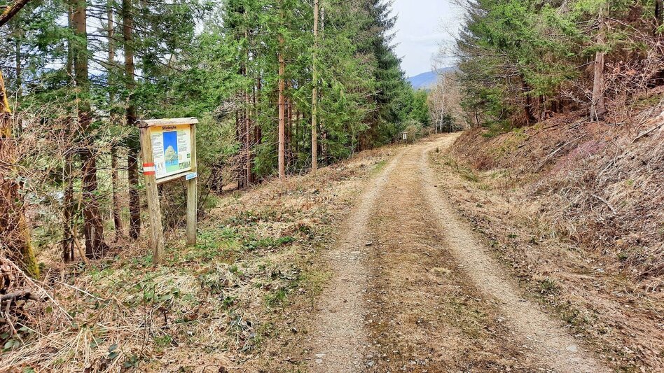Theme path Education trail to the forest school - Touren-Impression #2.7 | © Weges OG