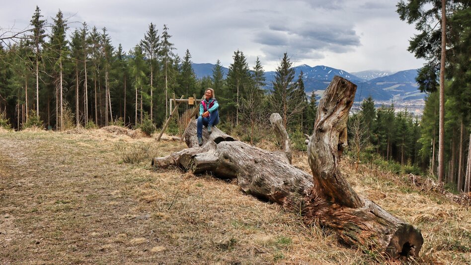 Theme path Education trail to the forest school - Touren-Impression #2.9 | © Weges OG