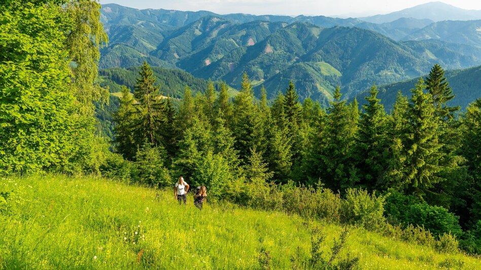Wanderung Über den Haneggkogel - Touren-Impression #2.3 | © Region Graz