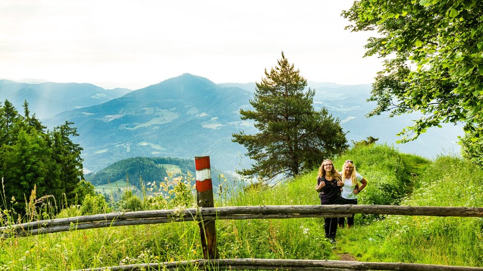 Wanderung Über den Haneggkogel - Touren-Impression #2.1