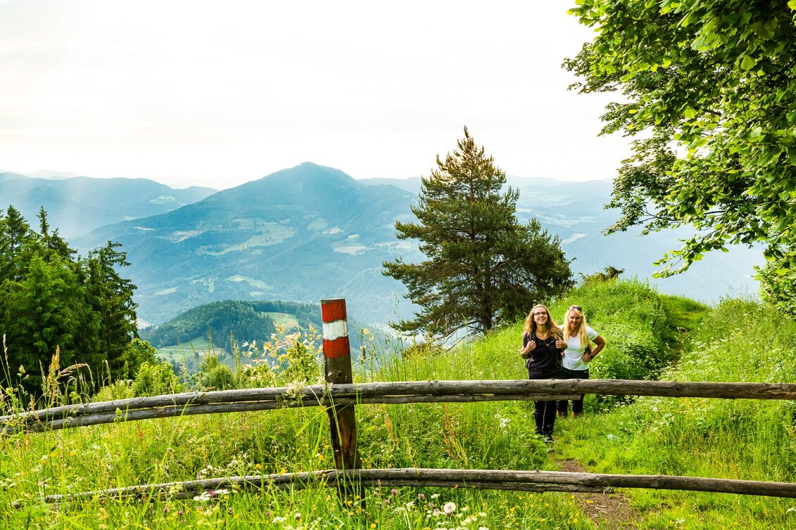 Wanderung Über den Haneggkogel - Touren-Impression #1