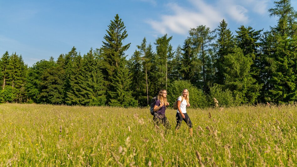 Wanderung Über den Haneggkogel - Touren-Impression #2.4