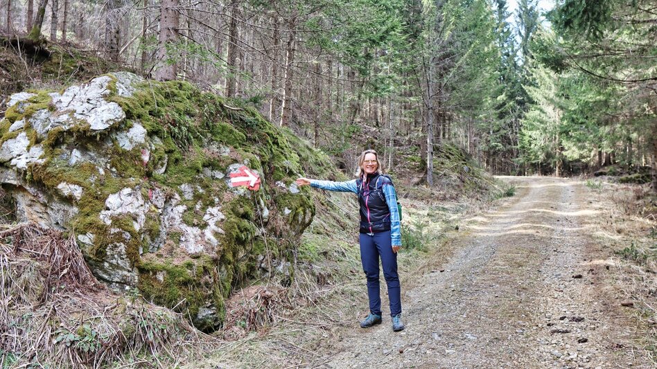 Wanderung Tremmelberg "Turm im Gebirge" über Kalvarienkirche - Touren-Impression #2.9 | © Weges OG