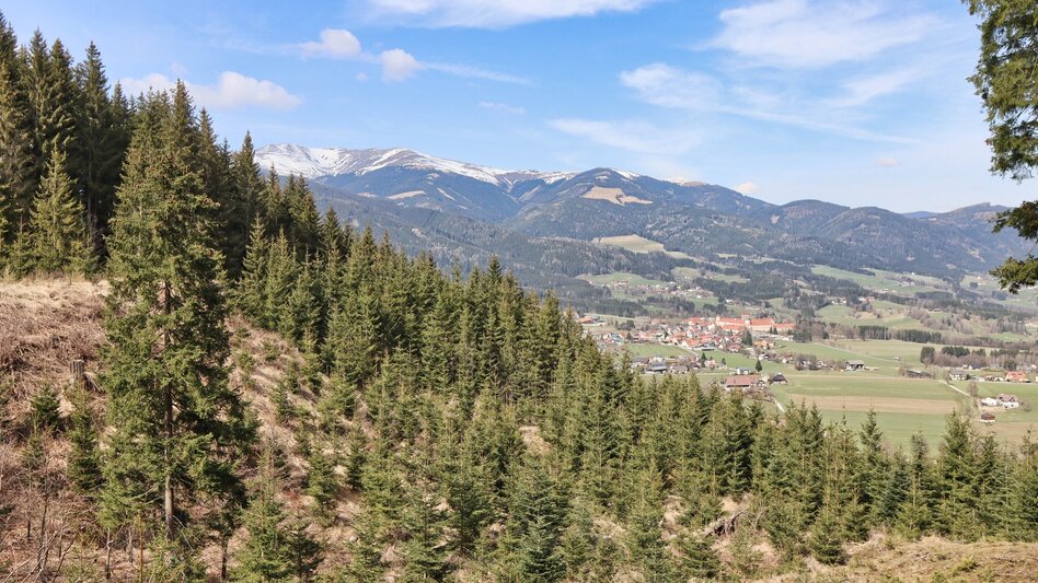 Wanderung Tremmelberg "Turm im Gebirge" über Kalvarienkirche - Touren-Impression #2.10 | © Weges OG