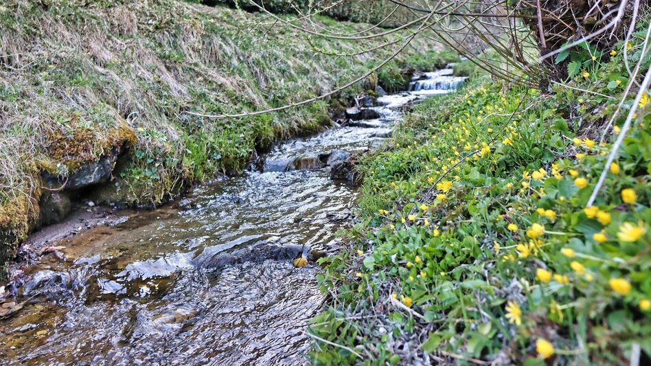 Hiking route On the hill above Rattenberger Graben - Touren-Impression #2.5 | © Weges OG