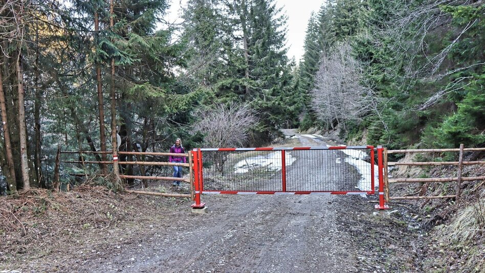 Hiking route On the hill above Rattenberger Graben - Touren-Impression #2.9 | © Weges OG