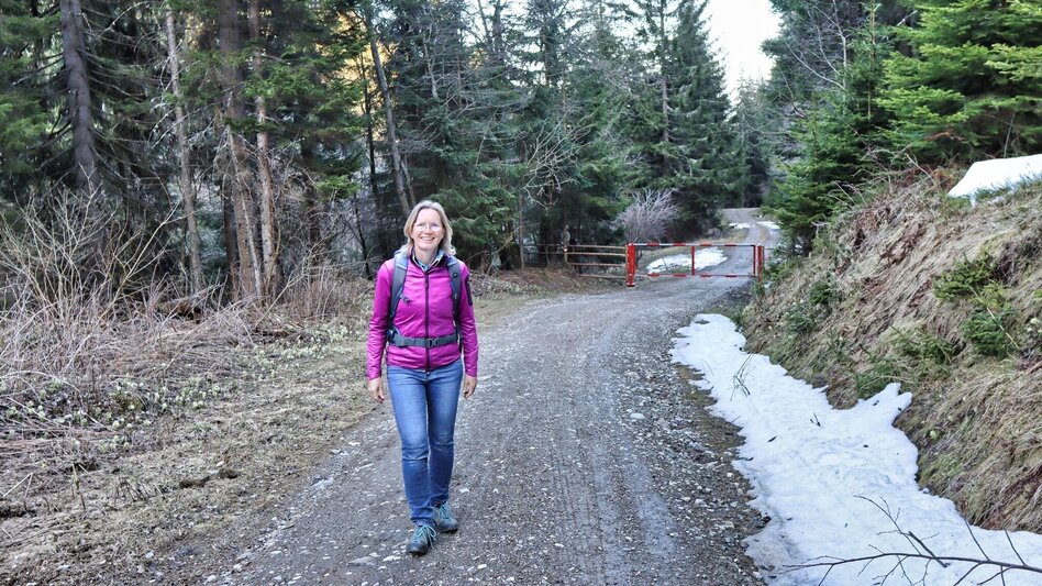 Hiking route On the hill above Rattenberger Graben - Touren-Impression #2.10 | © Weges OG