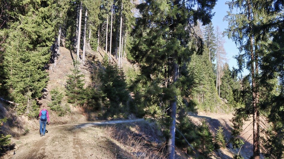 Hiking route On the hill above Rattenberger Graben - Touren-Impression #2.11 | © Weges OG
