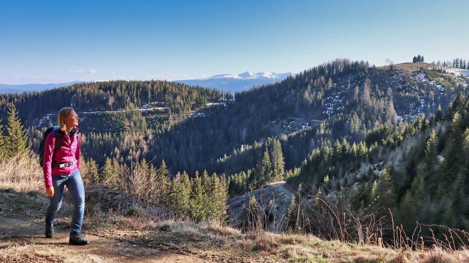 Hiking route On the hill above Rattenberger Graben - Touren-Impression #2.12 | © Weges OG