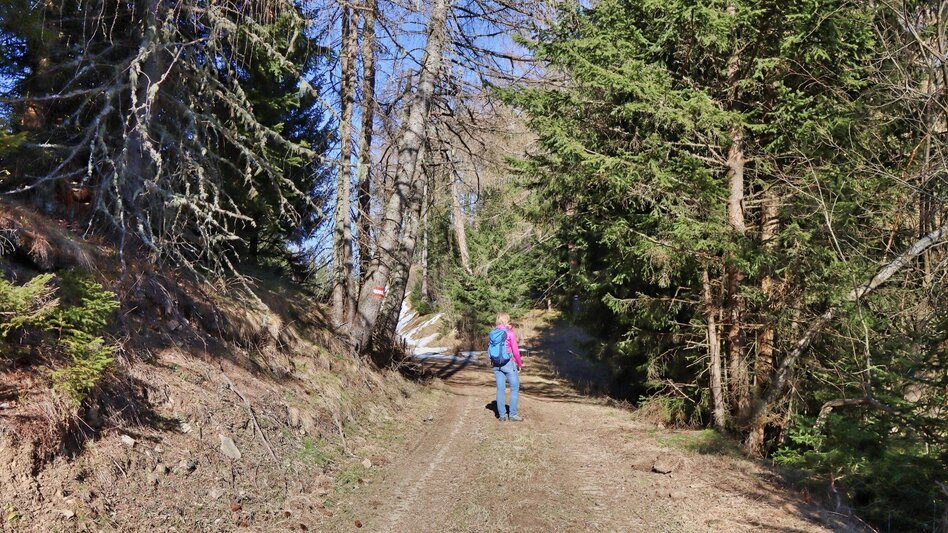 Hiking route On the hill above Rattenberger Graben - Touren-Impression #2.13 | © Weges OG