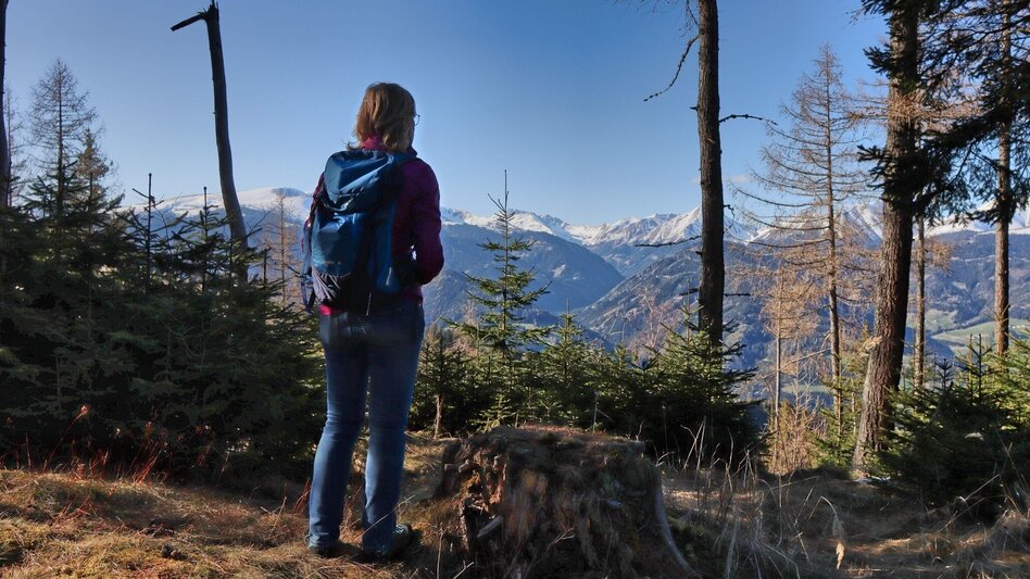 Hiking route On the hill above Rattenberger Graben - Touren-Impression #2.14 | © Weges OG
