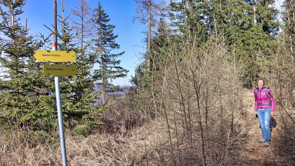 Hiking route On the hill above Rattenberger Graben - Touren-Impression #2.15 | © Weges OG