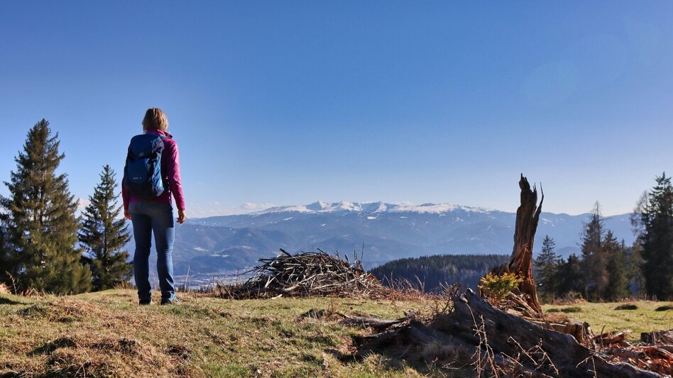 Hiking route On the hill above Rattenberger Graben - Touren-Impression #2.17 | © Weges OG