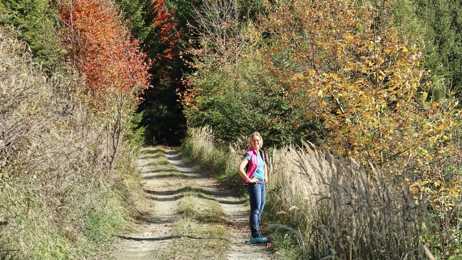 Hiking route Tremmelberg "Tower in the mountains" via Willhuber - Touren-Impression #2.8 | © Weges OG