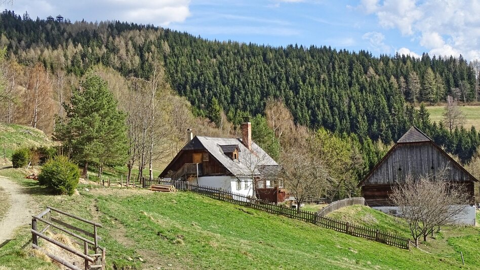 Hiking route Tremmelberg "Tower in the mountains" via Willhuber - Touren-Impression #2.10 | © Weges OG
