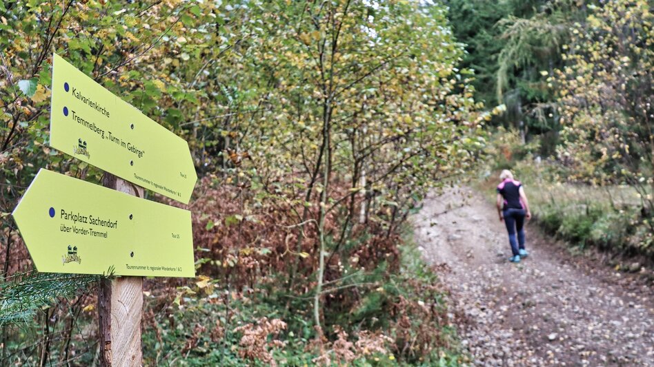 Hiking route Tremmelberg "Tower in the mountains" via Willhuber - Touren-Impression #2.11 | © Weges OG