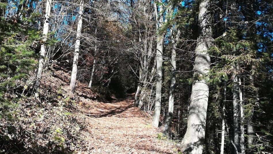 Wanderung Das Stübingtal von seiner schönsten Seite - Touren-Impression #2.4 | © Region Graz