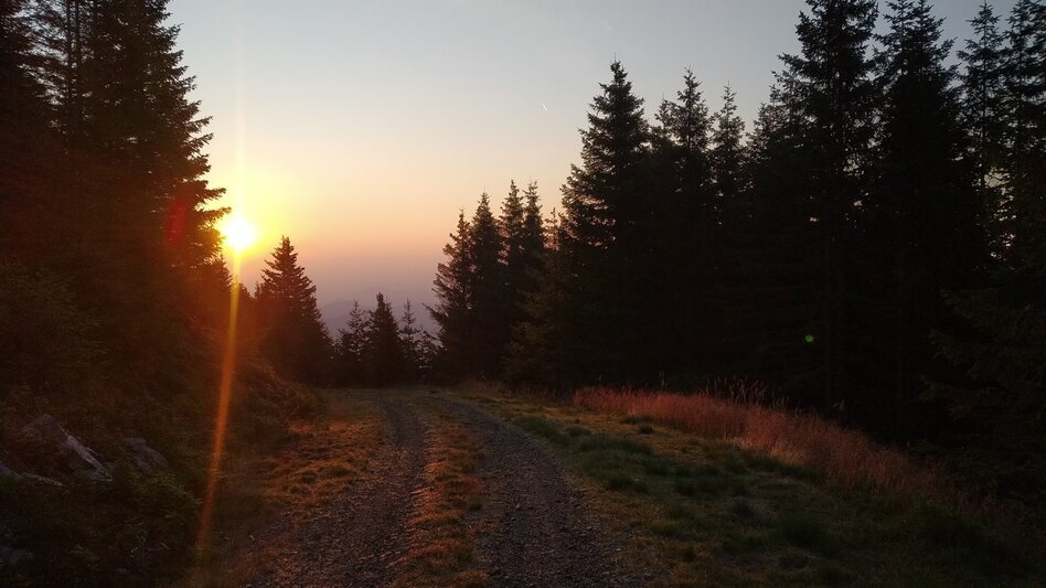 Wanderung Das Stübingtal von seiner schönsten Seite - Touren-Impression #2.5 | © Region Graz