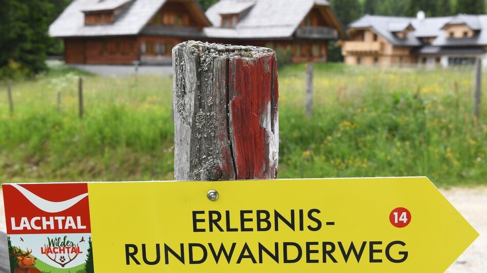 Themen- und Lehrpfad Wildes LACHTAL - der Erlebnisrundwanderweg - Touren-Impression #2.2 | © Tourismusverband Murau