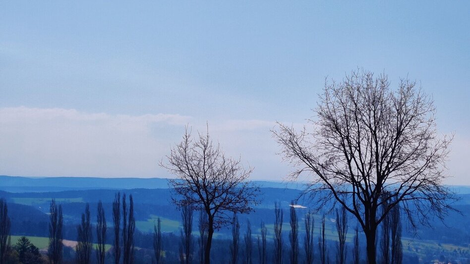 Hiking route Beistein circuit, Grafendorf - Touren-Impression #2.1 | © Oststeiermark Tourismus