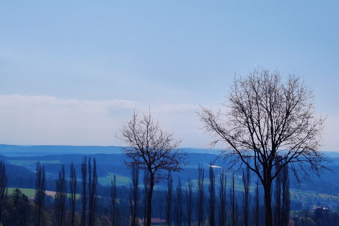 Hiking route Beistein circuit, Grafendorf - Touren-Impression #1 | © Oststeiermark Tourismus