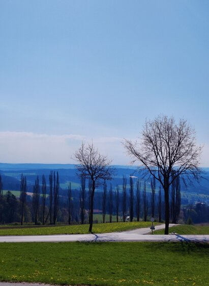 Landscape 1 | © Oststeiermark Tourismus | XNicole Friesenbichler | © Oststeiermark Tourismus