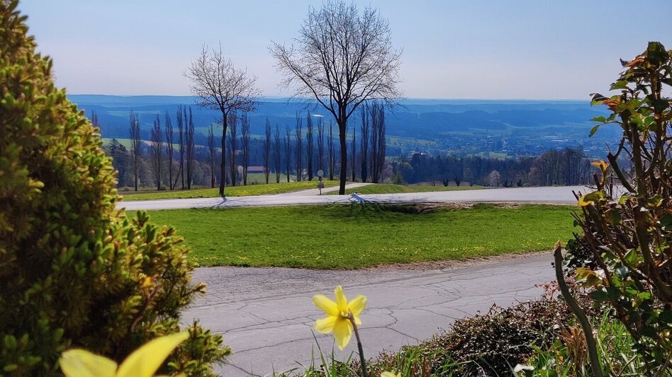 Hiking route Beistein circuit, Grafendorf - Touren-Impression #2.2 | © Oststeiermark Tourismus