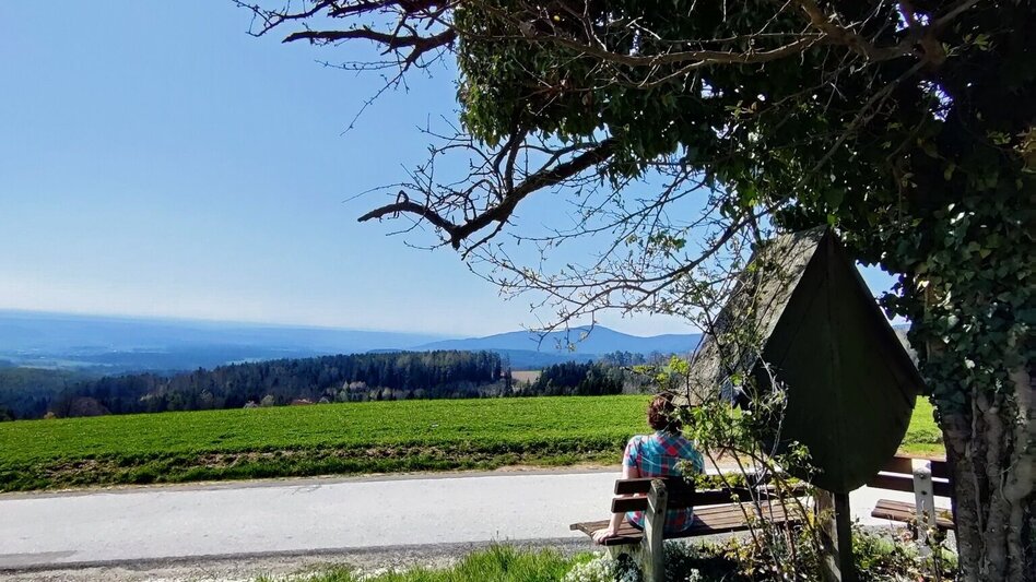 Hiking route Beistein circuit, Grafendorf - Touren-Impression #2.4 | © Oststeiermark Tourismus